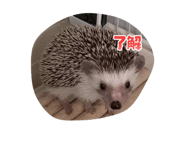 840883577