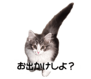 840883594