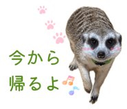 840883686