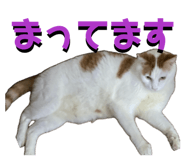 840883729