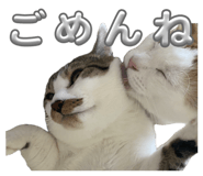 840883737