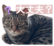 840884170
