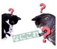 840884175