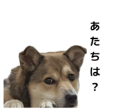 840884275