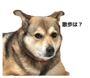 840884276