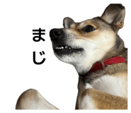 840884302