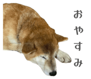 840884332