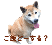 840884336