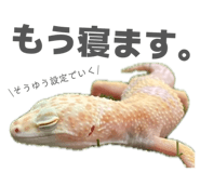 840884338