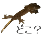 840884341