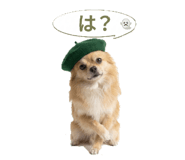 840884420