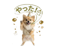 840884423
