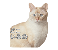 840884482