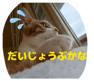 840884637