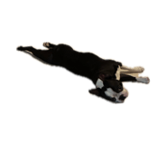 840884975