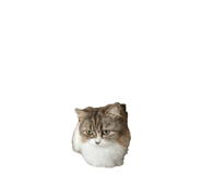 840885269