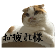 840885330