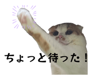 840885335
