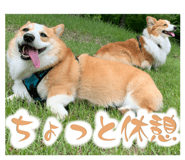 840885541