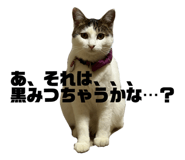 840886093