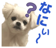 840886748