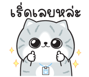 840890223