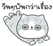 840890230