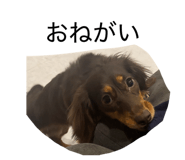 840891030