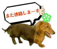 840891596