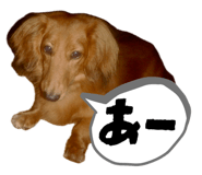 840891598