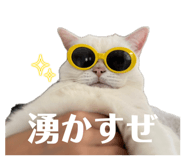 840891770