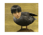 840892994