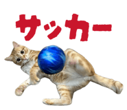 840893004