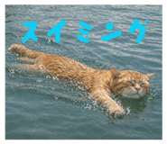 840893005