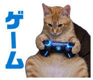 840893021