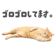 840893023