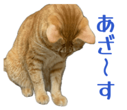840893040