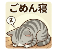 840893068