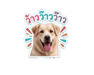 840893892