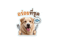 840893894