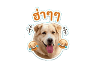 840893901