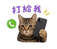 840895868