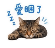 840895869