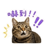 840895870