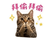 840895872