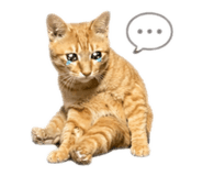 840895916