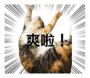 840896258