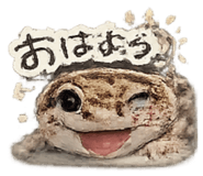 840896297