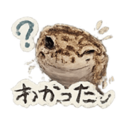 840896300