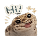 840896304